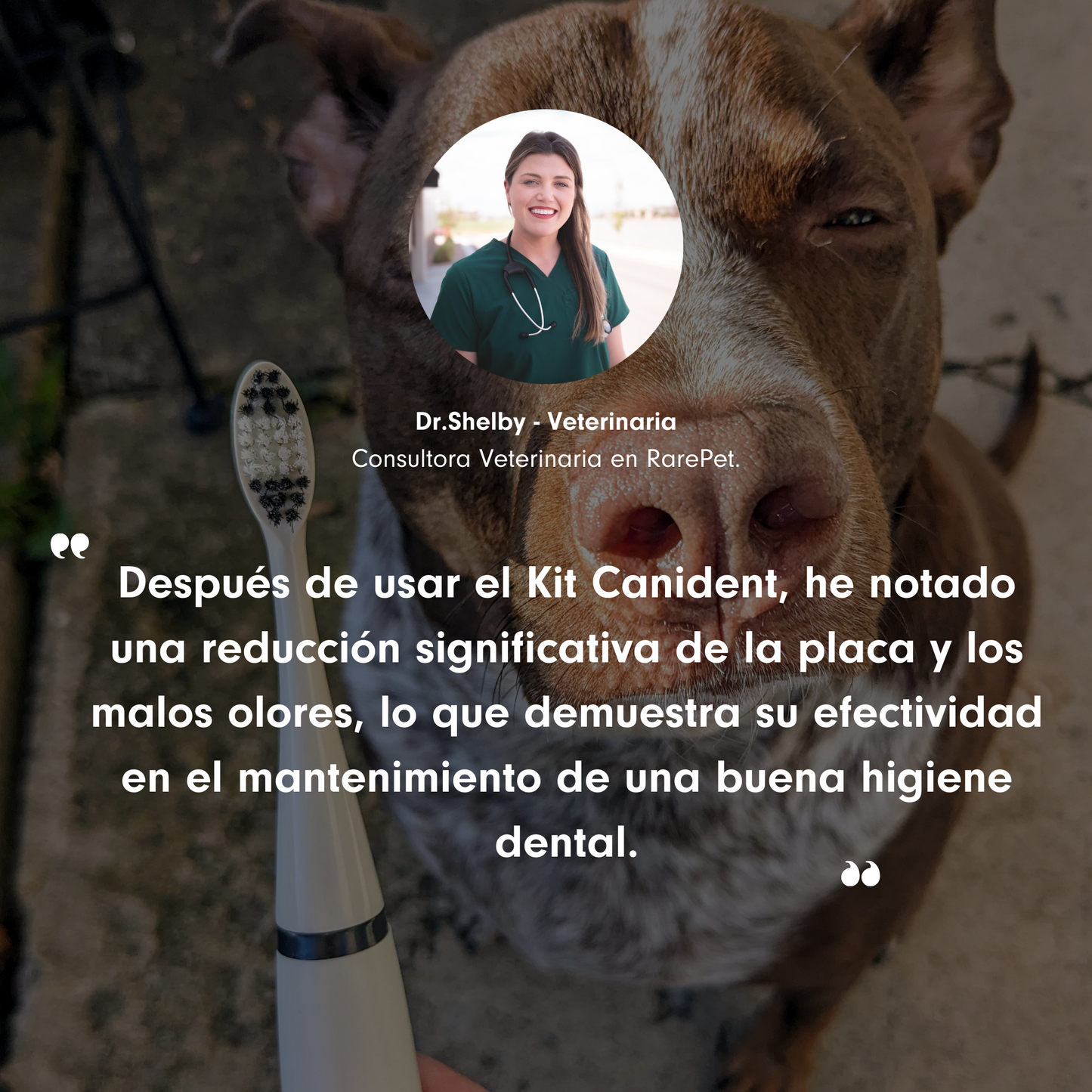 Kit Canident - Limpiador de Dientes para Perros