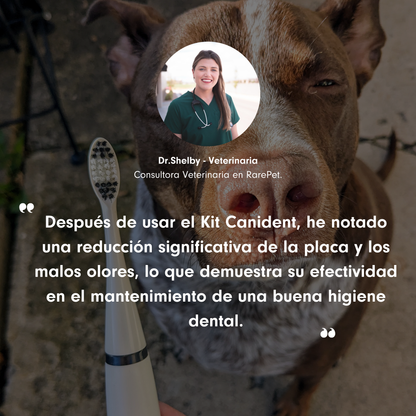 Kit Canident - Limpiador de Dientes para Perros