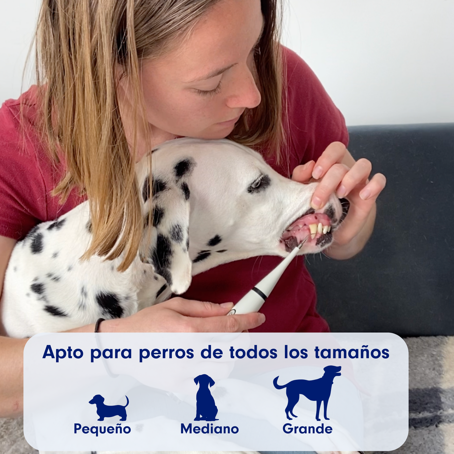 Kit Canident - Limpiador de Dientes para Perros