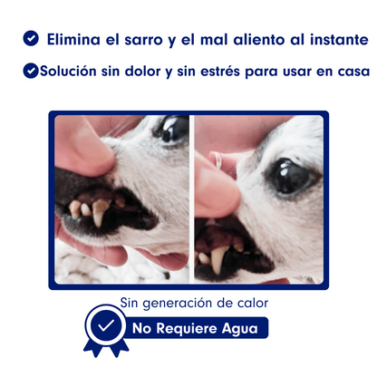 Kit Canident - Limpiador de Dientes para Perros