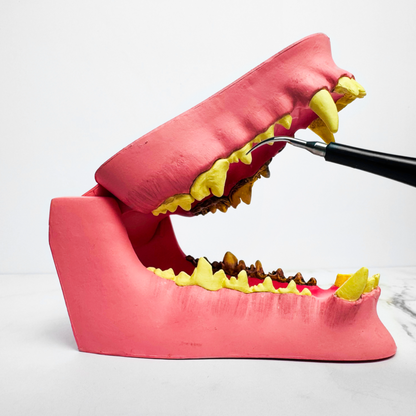 Kit Canident - Limpiador de Dientes para Perros