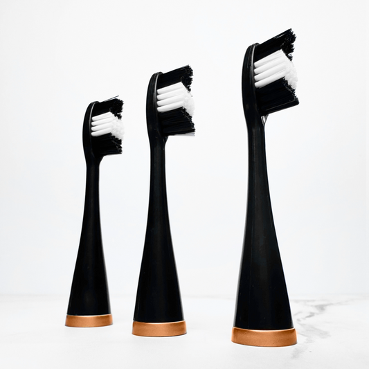 Cabezales de cepillo eléctrico canino - Lote de 3